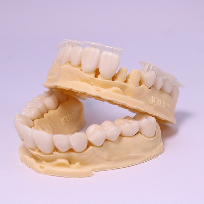 Model of a 3D Printed Teeth