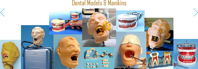Oral Exam practice