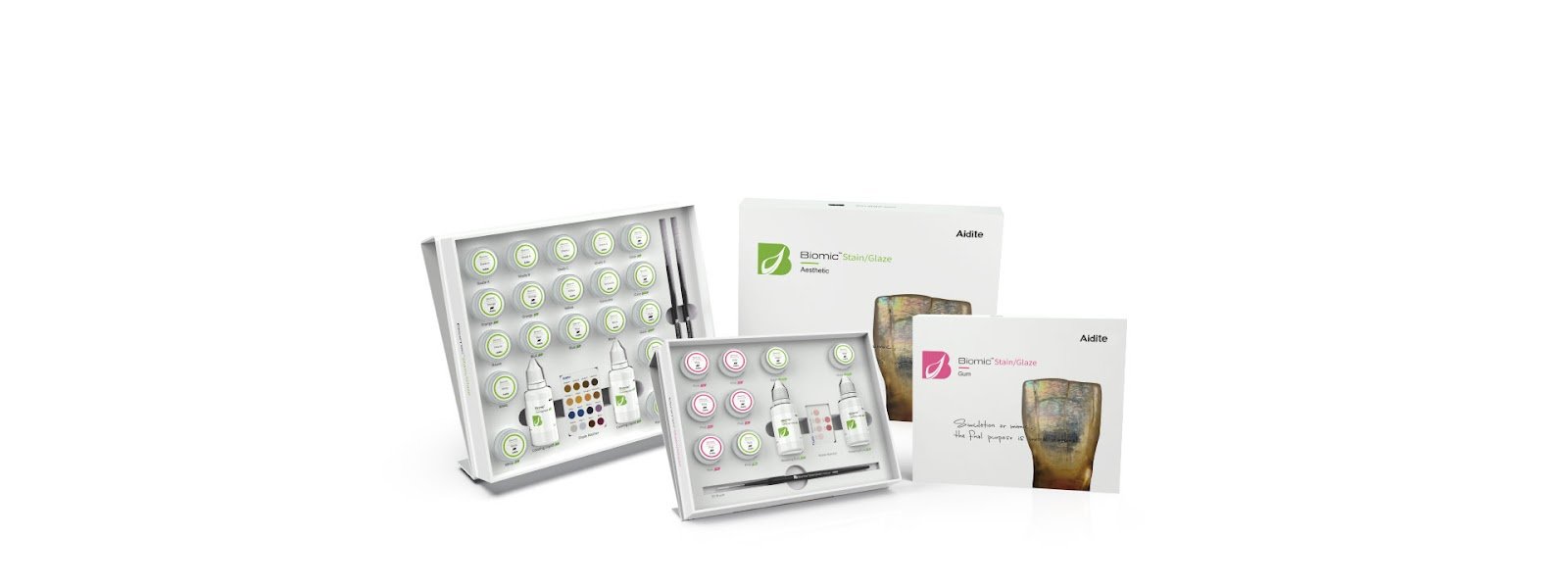 Professional dental kits with color-matching tools, stains, and materials