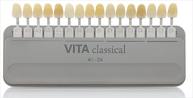 Vita Dental Shade Guide